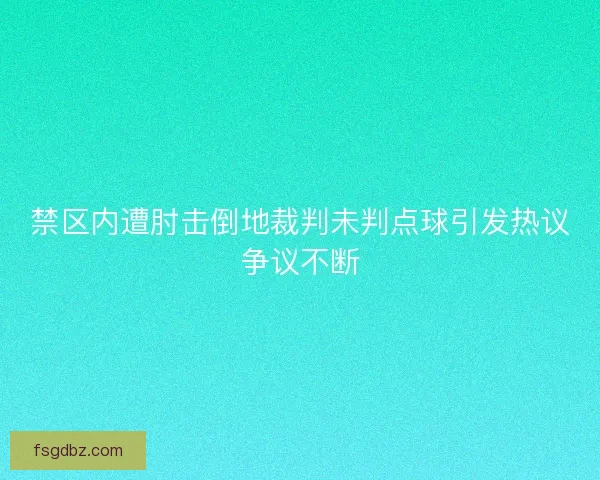 禁区内遭肘击倒地裁判未判点球引发热议争议不断