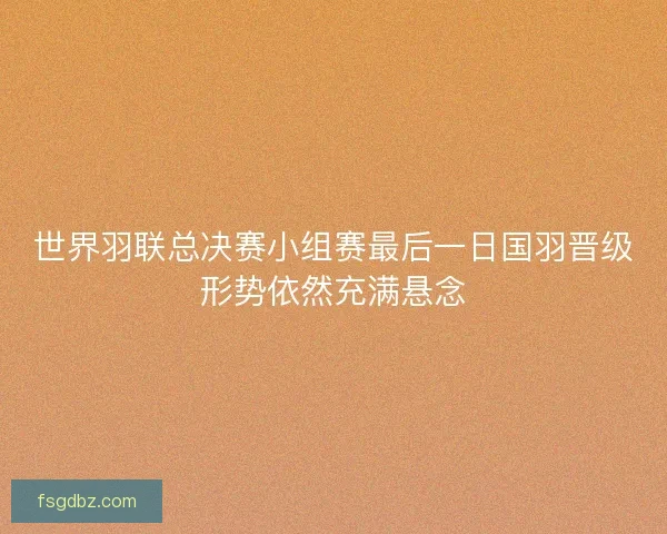世界羽联总决赛小组赛最后一日国羽晋级形势依然充满悬念
