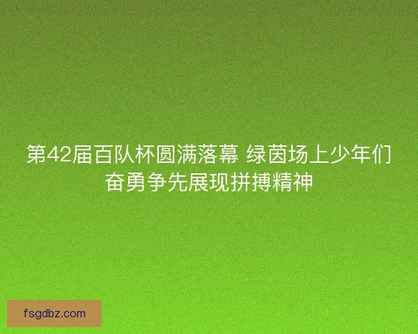 第42届百队杯圆满落幕 绿茵场上少年们奋勇争先展现拼搏精神